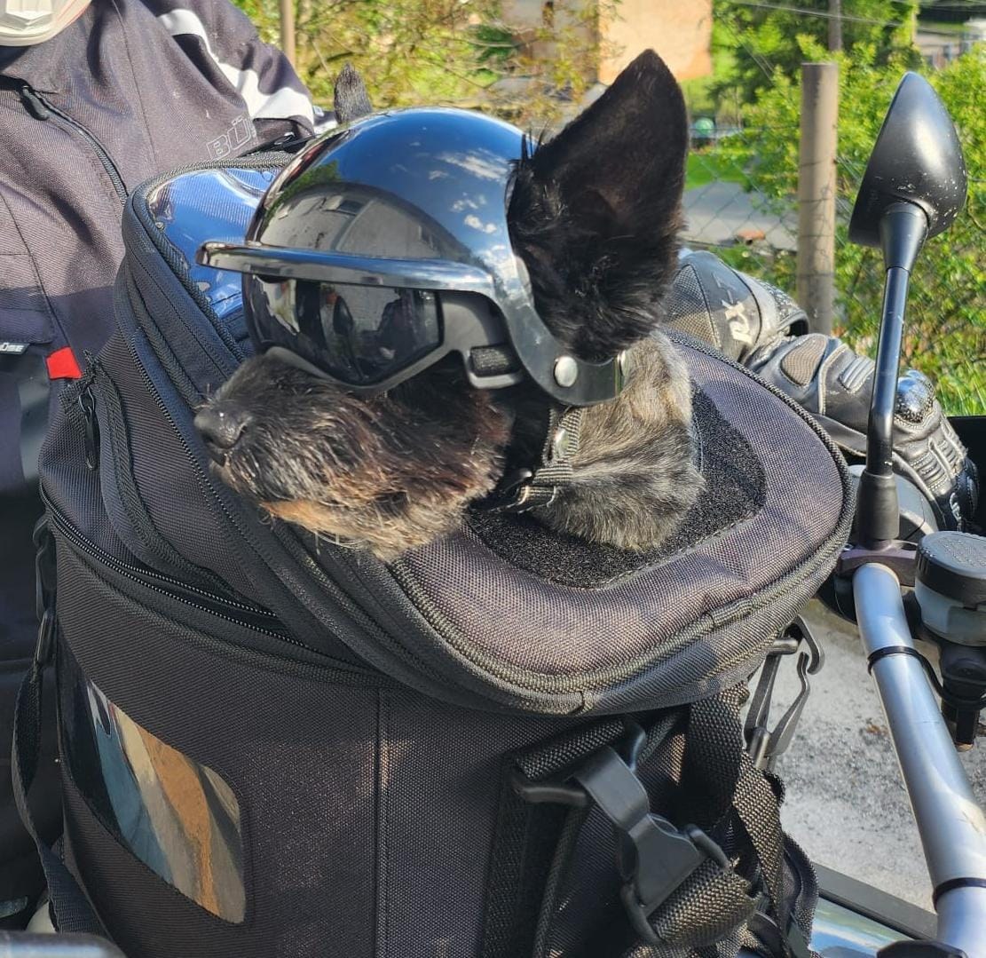 Tankruksak Enduro velké na hafana do 8 kg s tvarovaným dnem