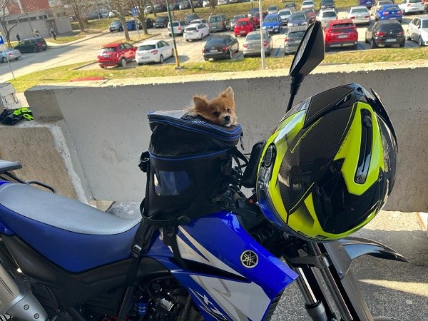 Tankruksak na hafana na malé enduro Yamaha XT 660